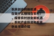 农民创业的新机遇，现在做什么赚钱在农村？，探索农村创业新机遇，农村产业投资和农业创业项目介绍