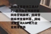 网站流量查询工具APP，助力企业精准把握网络营销脉搏，网络营销脉搏掌握利器，网站流量查询APP助力企业精准营销
