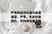 芦苇的经济价值与前景展望,芦苇,生态价值提升,可持续发展之路 芦苇的经济价值与前景展望,芦苇,生态价值提升,可持续发展之路