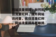 网站流量提醒，如何抓住流量红利，提升网站访问量，抓住流量红利，网站流量提升策略揭秘