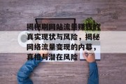 揭秘刷网站流量赚钱的真实现状与风险，揭秘网络流量变现的内幕，真相与潜在风险