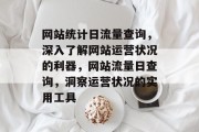 网站统计日流量查询，深入了解网站运营状况的利器，网站流量日查询，洞察运营状况的实用工具