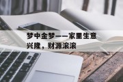 梦中金梦——家里生意兴隆，财源滚滚