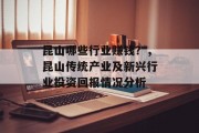 昆山哪些行业赚钱?,昆山传统产业及新兴行业投资回报情况分析