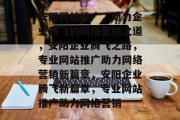安阳网站推广，助力企业腾飞的网络营销之道，安阳企业腾飞之路，专业网站推广助力网络营销新篇章，安阳企业腾飞新篇章，专业网站推广助力网络营销
