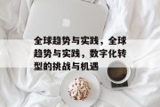 全球趋势与实践，全球趋势与实践，数字化转型的挑战与机遇