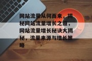 网站流量从何而来，揭秘网站流量增长之道，网站流量增长秘诀大揭秘，流量来源与增长策略
