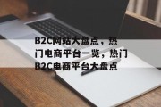 B2C网站大盘点，热门电商平台一览，热门B2C电商平台大盘点