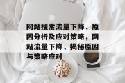 网站搜索流量下降，原因分析及应对策略，网站流量下降，揭秘原因与策略应对