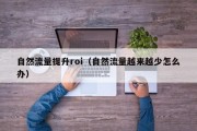 自然流量提升roi（自然流量越来越少怎么办）