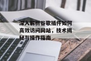 深入解析谷歌插件如何高效访问网站，技术揭秘与操作指南