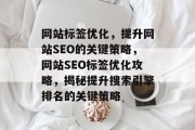 网站标签优化，提升网站SEO的关键策略，网站SEO标签优化攻略，揭秘提升搜索引擎排名的关键策略