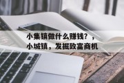 小集镇做什么赚钱？，小城镇，发掘致富商机