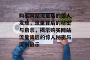 购买网站流量后的惊人发现，流量背后的秘密与启示，揭示购买网站流量背后的惊人秘密与深刻启示