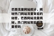 巴西流量网站统计，揭秘热门网站流量背后的秘密，巴西网站流量揭秘，热门网站背后的流量密码