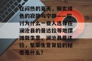 在闷热的夏天，贩卖绿色的寂静与宁静——探讨为什么一些人选择在澜沧县的曼达拉等地摆摊做生意，澜沧县曼达拉，繁荣生意背后的秘密是什么？
