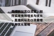 直播网站出口流量，如何实现有效增长与优化，直播网站出口流量增长与优化策略