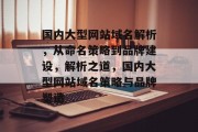 国内大型网站域名解析，从命名策略到品牌建设，解析之道，国内大型网站域名策略与品牌塑造