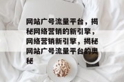 网站广号流量平台，揭秘网络营销的新引擎，网络营销新引擎，揭秘网站广号流量平台的奥秘