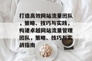 打造高效网站流量团队，策略、技巧与实践，构建卓越网站流量管理团队，策略、技巧与实战指南