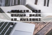 潮州商机无限，做生意赚钱的秘诀，潮州商机无限，揭秘生意赚钱之道