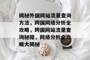 揭秘外国网站流量查询方法，跨国网络分析全攻略，跨国网站流量查询秘籍，网络分析全攻略大揭秘