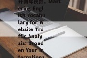 网站流量英文表达详解，掌握这些关键词，提升国际视野，Mastering English Vocabulary for Website Traffic Analysis: Broaden Your International Perspective