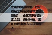 大山如何靠种地、挖矿或经营特色民宿等途径赚钱？，山区农民的致富之路，通过种植、采矿和民宿等方式获得收入