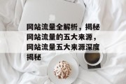 网站流量全解析，揭秘网站流量的五大来源，网站流量五大来源深度揭秘
