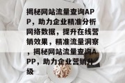 揭秘网站流量查询APP，助力企业精准分析网络数据，提升在线营销效果，精准流量洞察，揭秘网站流量查询APP，助力企业营销升级