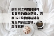 剖析B2C购物网站排名背后的商业逻辑，洞察B2C购物网站排名背后的商业逻辑，一个深度解析
