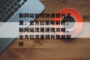 新网站如何快速提升流量，全方位策略解析，新网站流量速增攻略，全方位流量提升策略解析