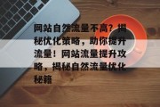 网站自然流量不高？揭秘优化策略，助你提升流量！网站流量提升攻略，揭秘自然流量优化秘籍