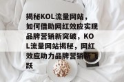 揭秘KOL流量网站，如何借助网红效应实现品牌营销新突破，KOL流量网站揭秘，网红效应助力品牌营销新飞跃