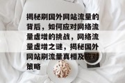 揭秘刷国外网站流量的背后，如何应对网络流量虚增的挑战，网络流量虚增之谜，揭秘国外网站刷流量真相及应对策略
