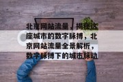 北京网站流量，揭秘这座城市的数字脉搏，北京网站流量全景解析，数字脉搏下的城市脉动