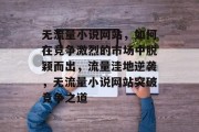 无流量小说网站，如何在竞争激烈的市场中脱颖而出，流量洼地逆袭，无流量小说网站突破竞争之道