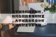 大学城中的商机解析,如何在校园里赚取财富,大学城商业机会分析与校园财富获取策略