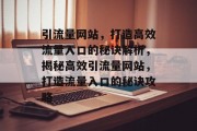 引流量网站，打造高效流量入口的秘诀解析，揭秘高效引流量网站，打造流量入口的秘诀攻略