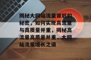 揭秘大网站流量背后的秘密，如何实现高流量与高质量并重，揭秘高流量高质量并重，大网站流量增长之道
