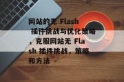 网站的无 Flash 插件挑战与优化策略，克服网站无 Flash 插件挑战，策略和方法