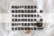 网站APP流量查询，精准把握流量脉搏，助力企业营销策略优化，流量脉搏精准监测，网站APP流量查询助力企业营销策略升级