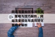 网站流量如何有效利用，策略与技巧解析，网站流量优化与高效转化策略全解析