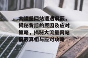 大流量网站遭遇屏蔽，揭秘背后的原因及应对策略，揭秘大流量网站屏蔽真相与应对攻略