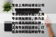 专业上海网站建设公司，助力企业打造高效、专业的网络平台，上海专业网站建设，助力企业构建高效网络品牌，上海专业网站建设，打造高效网络品牌新平台