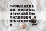 CMS网站流量查看全攻略，掌握这些方法，让你的网站流量翻倍！网站流量翻倍秘籍，掌握CMS流量查看全攻略