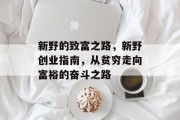 新野的致富之路，新野创业指南，从贫穷走向富裕的奋斗之路
