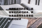 美国最赚钱的生意，揭秘背后的成功秘诀，揭秘美国最赚钱生意背后的成功秘诀