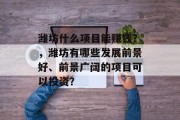 潍坊什么项目能赚钱?,潍坊有哪些发展前景好、前景广阔的项目可以投资?