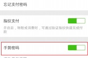 华为微信怎么设置指纹支付(华为微信怎么设置指纹支付方式)